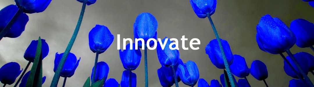 innovatie samenwerking startups corporate